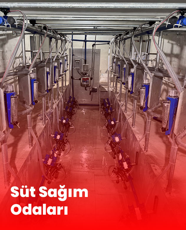 Süt Sağım Odaları