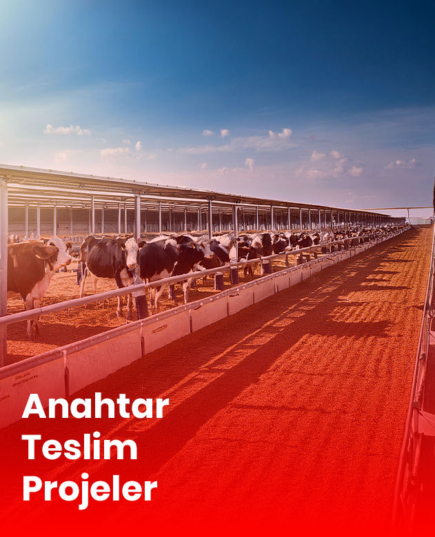 Anahtar Teslim Projeler