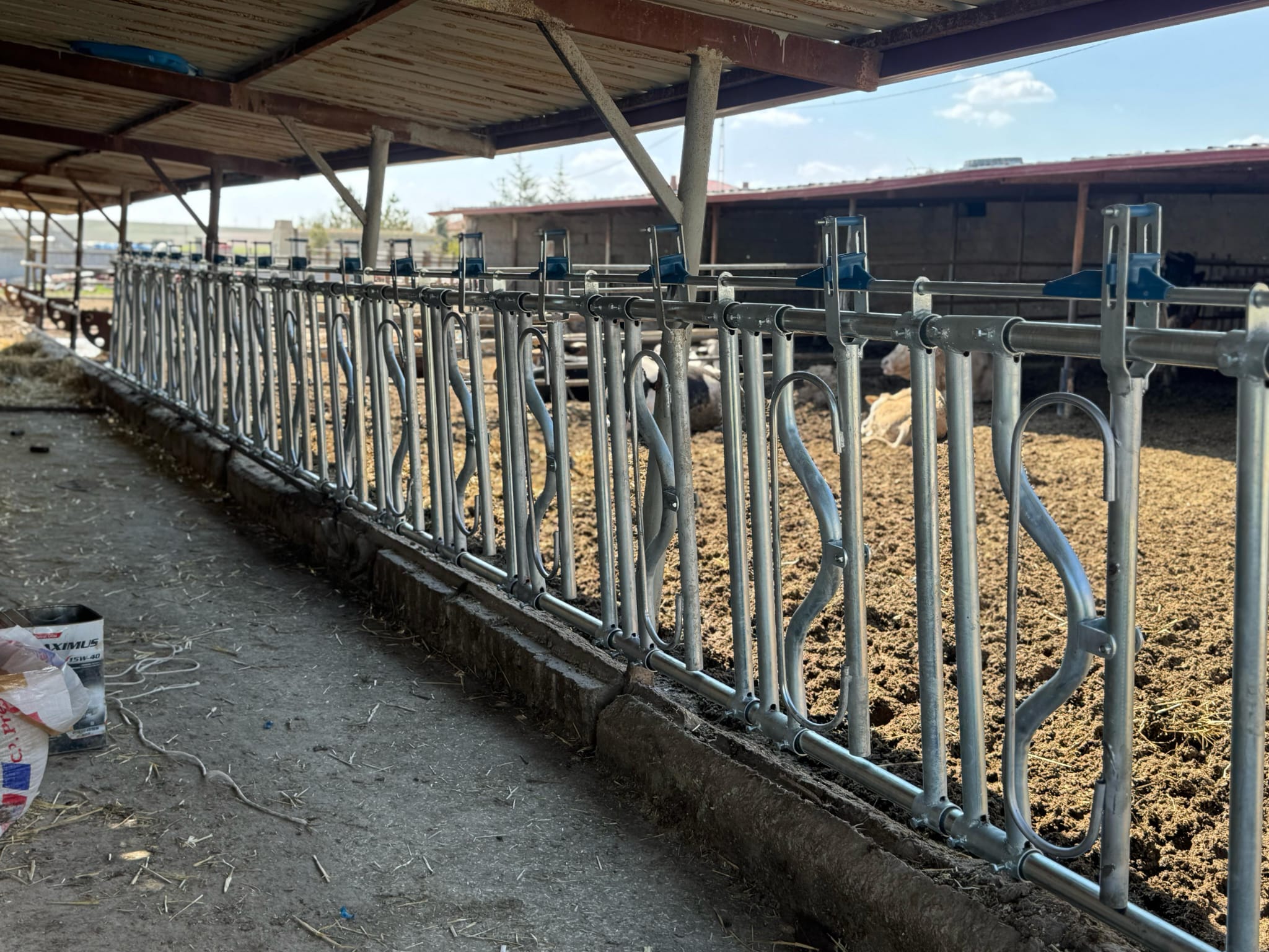 Büyükbaş Kilitleme Sistemi