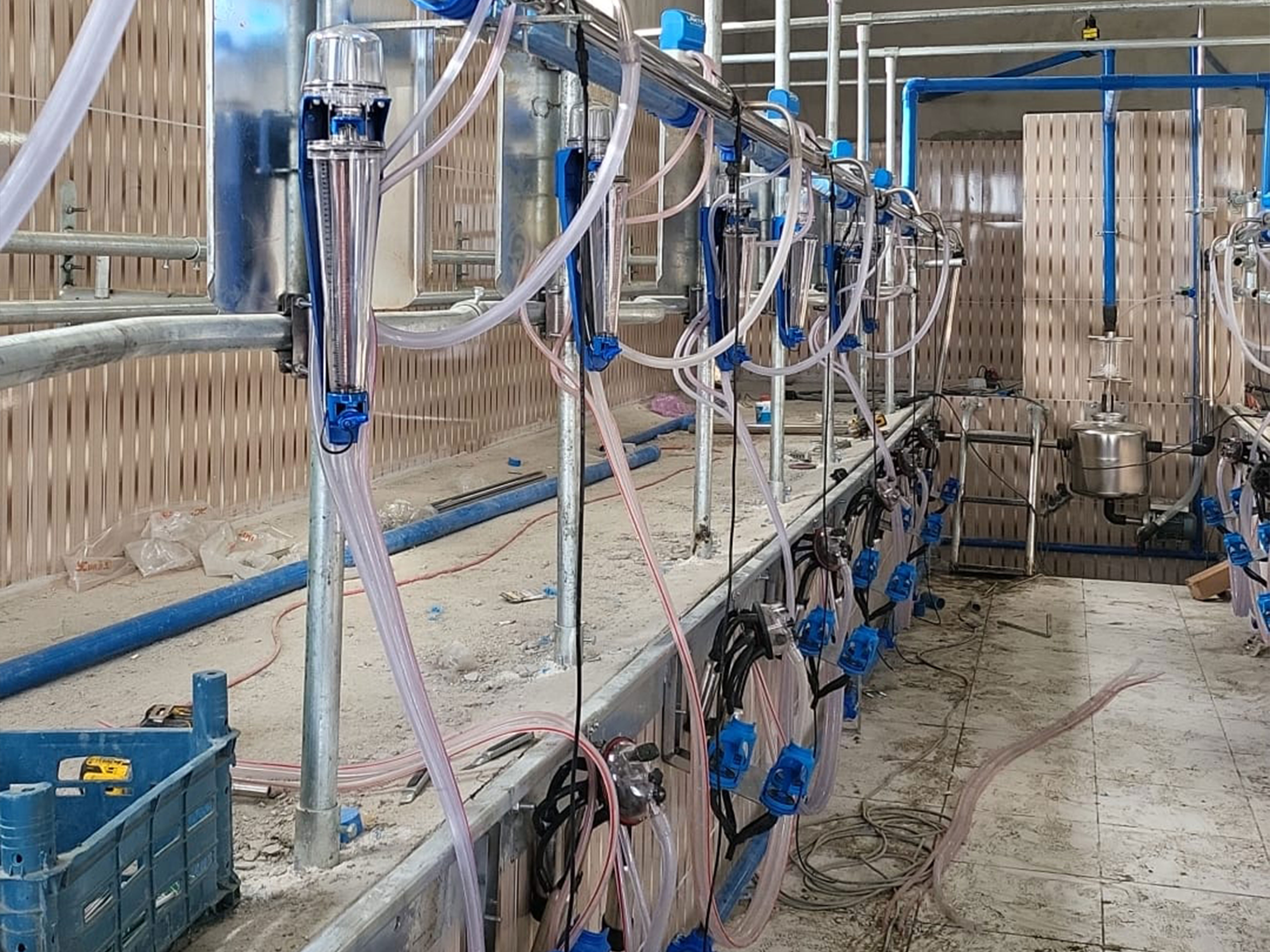 Tam Otomatik Balık Kılçığı Sağım Odası