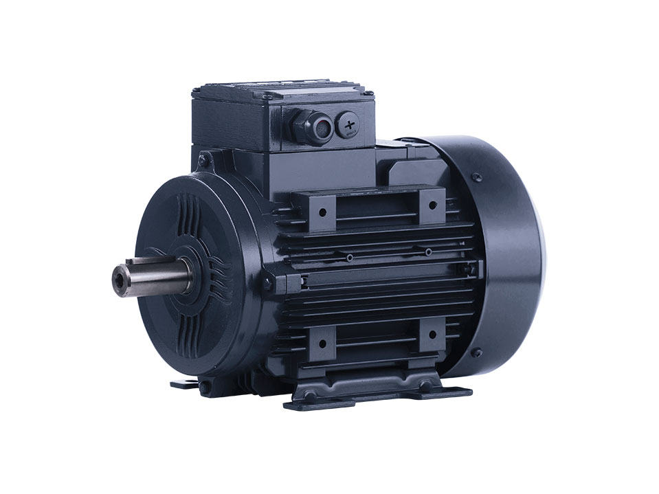 220 Volt Elektrik Motoru